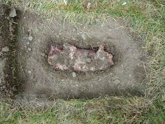 Shallow grave with pig